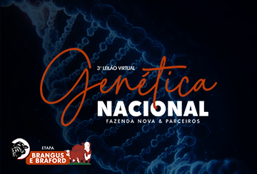 3º LEILÃO VIRTUAL GENÉTICA NACIONAL - FAZENDA NOVA & PARCEIROS - ETAPA BRANGUS E BRAFORD